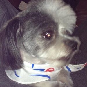 Meet your Posher, Caitlin